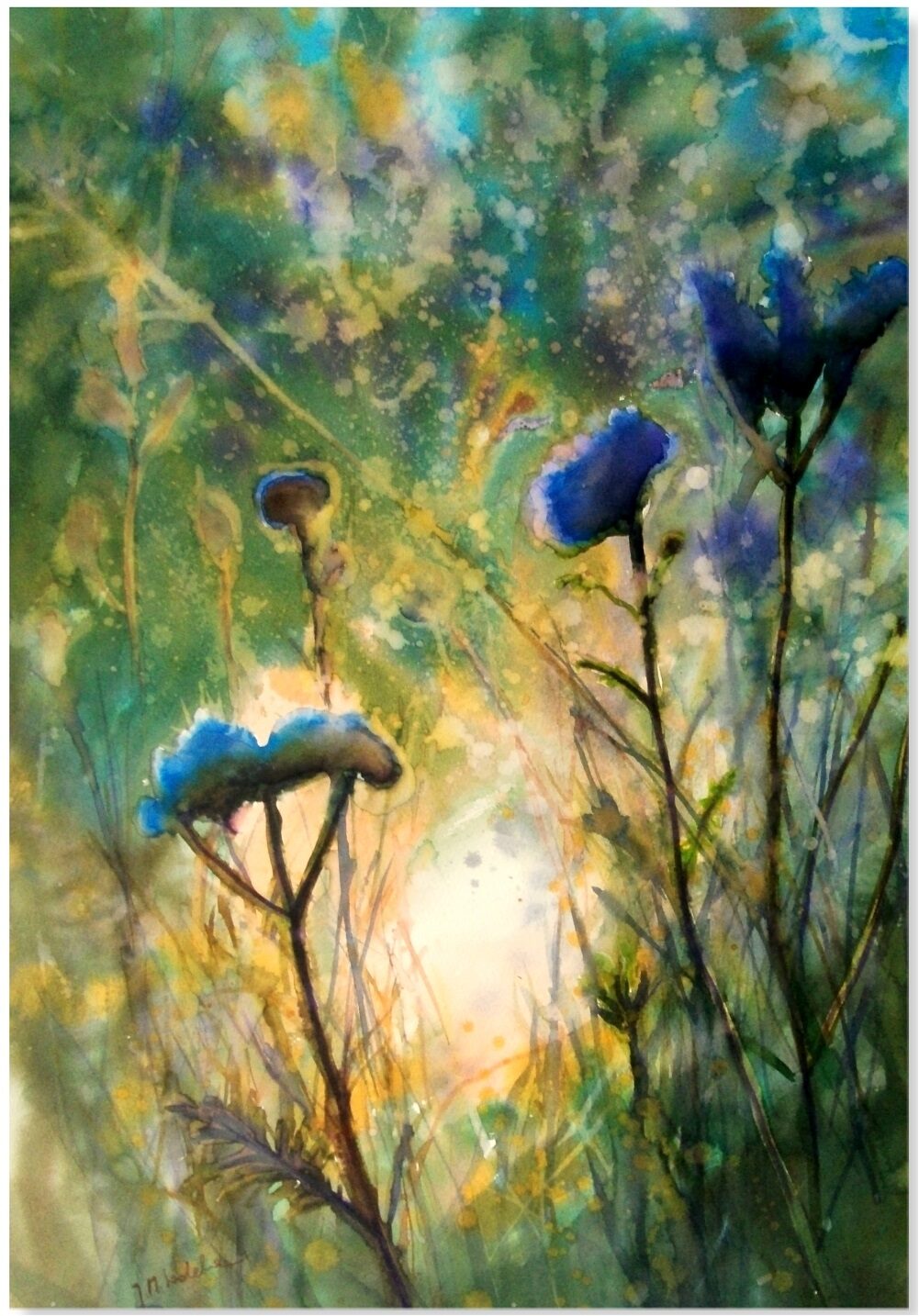 Image 2