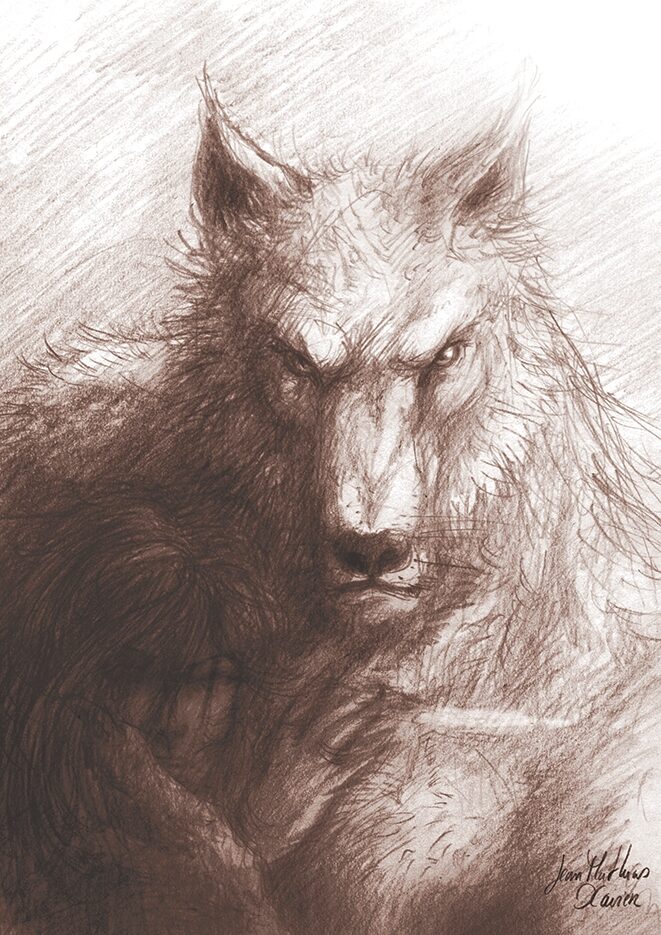 Image 9