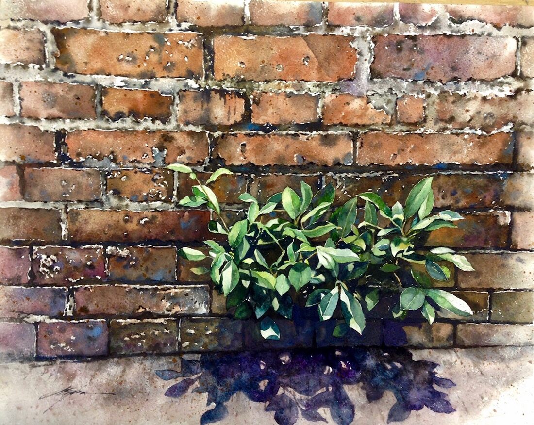 Image 15