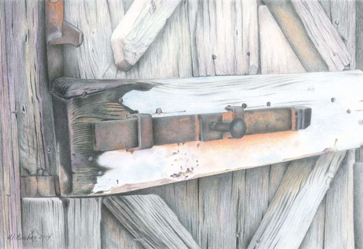 Image 15