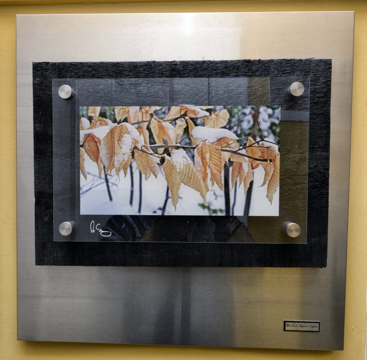 Image 18