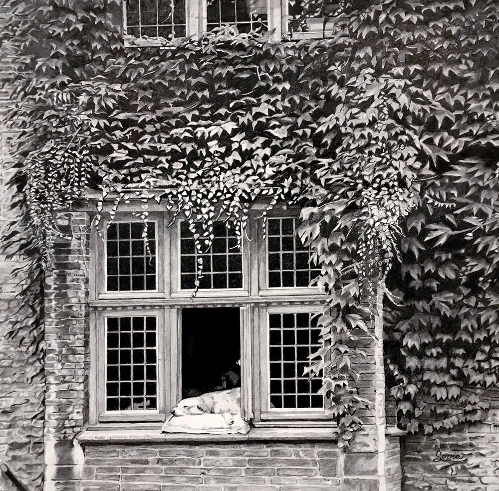 Image 21