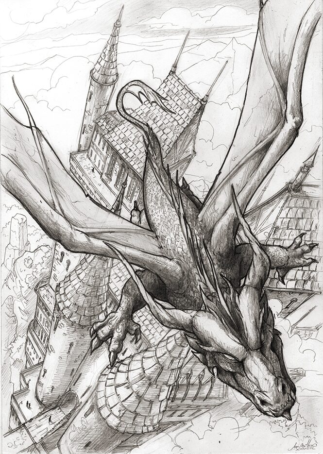 Image 21