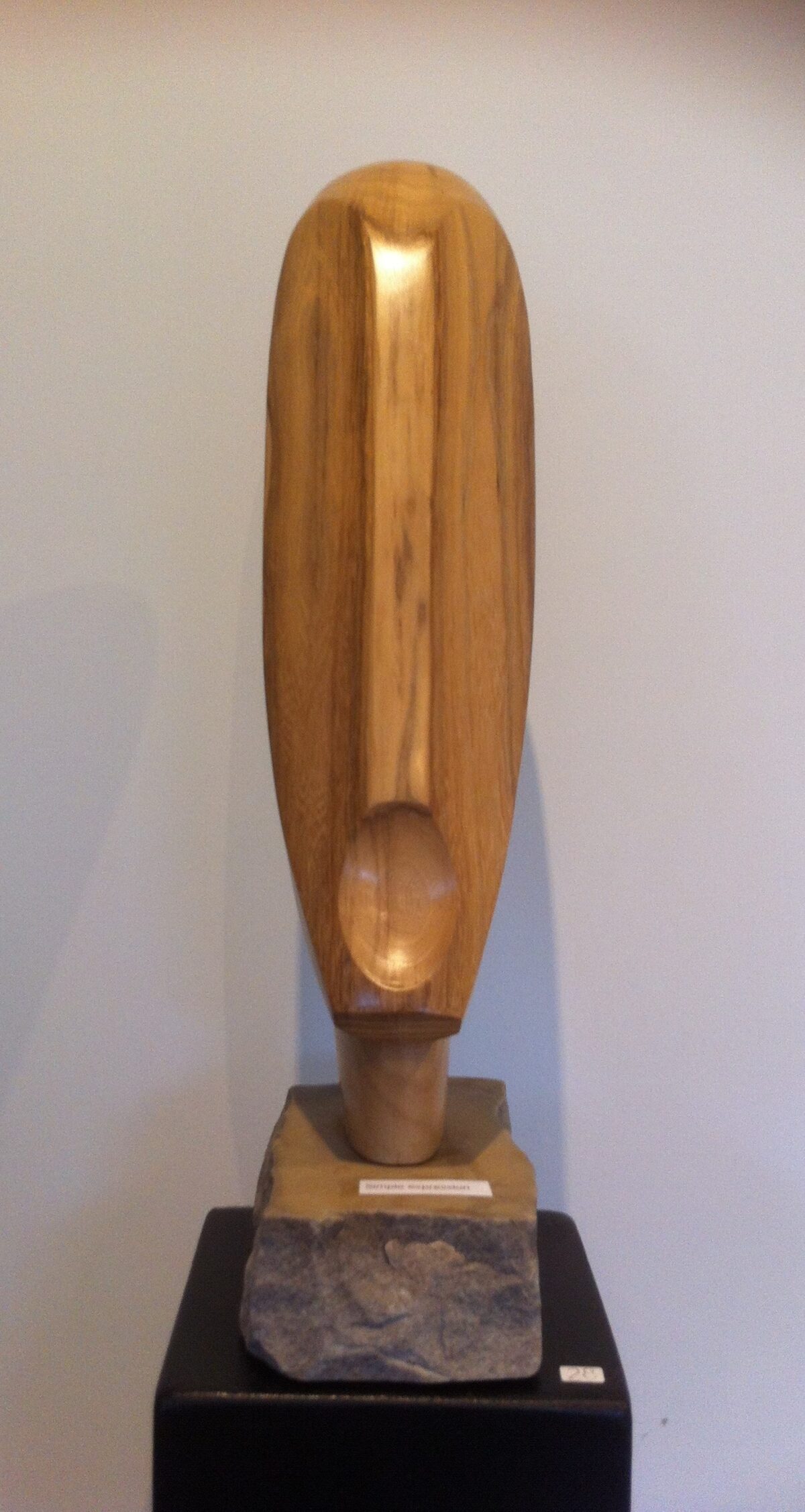 Image 21