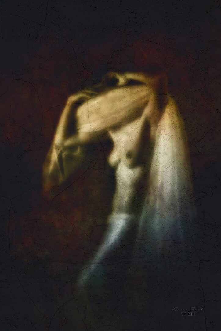 Image 14