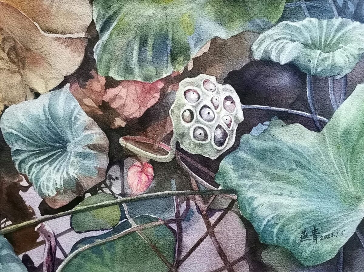 Image 13