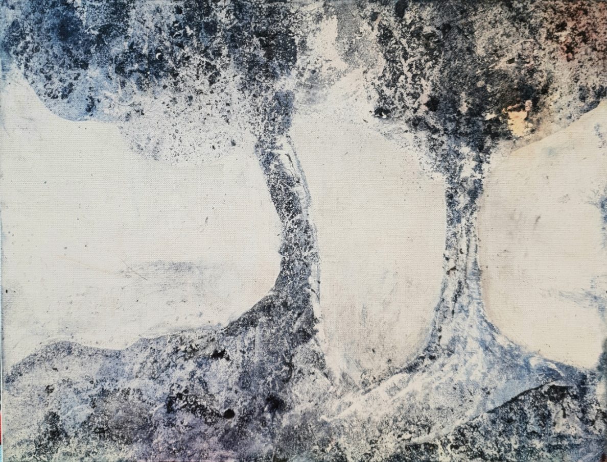 Image 13