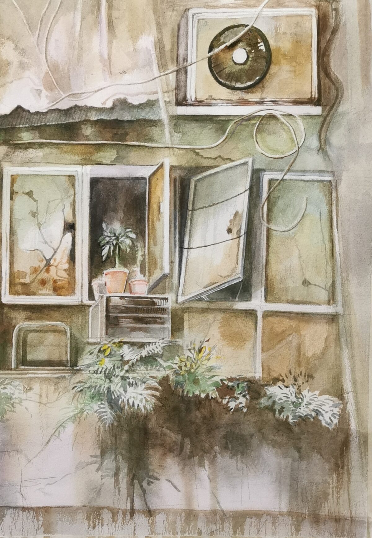 Image 10